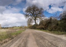 Granfondo Strade Bianche, Siena