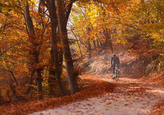 GARE OTTOBRE- NOVEMBRE 2020