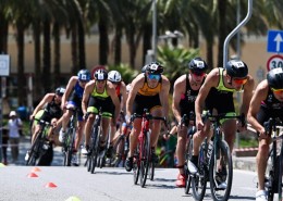 Gare nazionali e internazionali per i Granbikers : xTerra world cup, medio Mergozzo, Sprint Loano